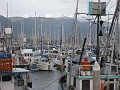 Carpinteria California 2010-02 0490